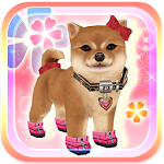 Cover Image of Download My Dog My Style  APK