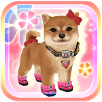 My Dog My Style Apk