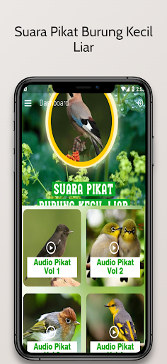 Android application Suara Pikat Burung Kecil Liar screenshort