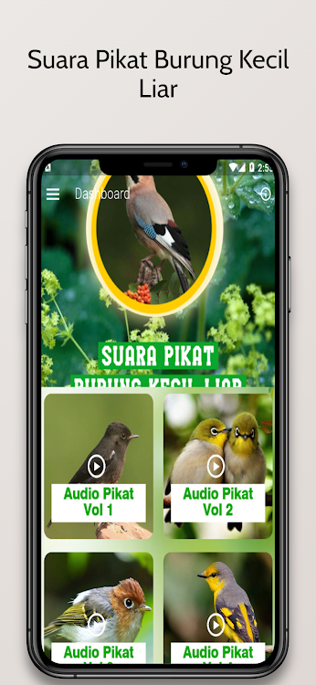 Suara Pikat Burung Kecil Liar - 1.5.4 - (Android)