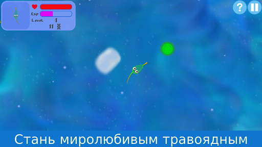 Предварительный просмотр приложения