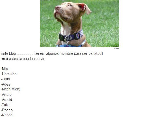 Nombres para perros pitbull Screen 2