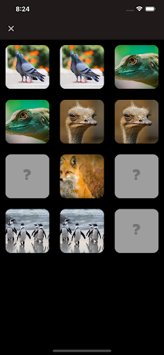 Brain Game - Remember image Screen 3