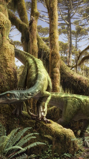Dinosaur -Wallpapers,Puzzle Screen 3