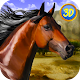 Arabian Horse Simulator دانلود در ویندوز