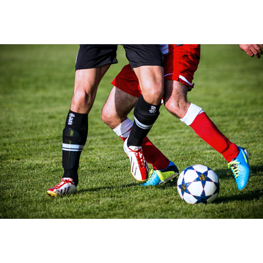 Fodboldeksperten logo