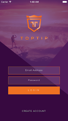 Toptip Game - Screenshot 3