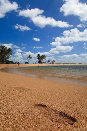 Hawaii Nature Wallpapers