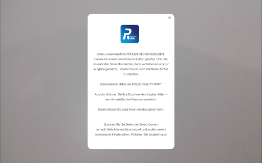 Reality Print 1.0 Screen 2