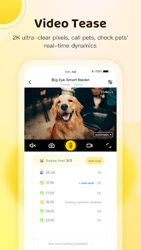 Furspark Screen 2