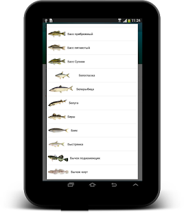 Клвая рыбалка  сообщество рыболовов Screenshot