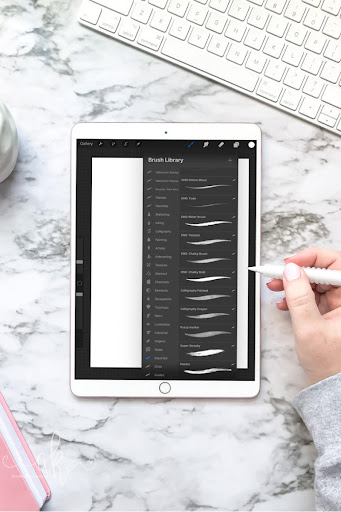 Procreate Paint Brushes Guide