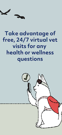 Rainwalk Pet Insurance Screen 3