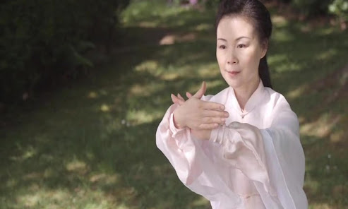 Captura 15 Tai Chi for Beginners 48 Form android