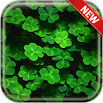 Shamrock Wallpapers Apk