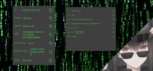 Device Infomation:IMEI,Version Screen 2