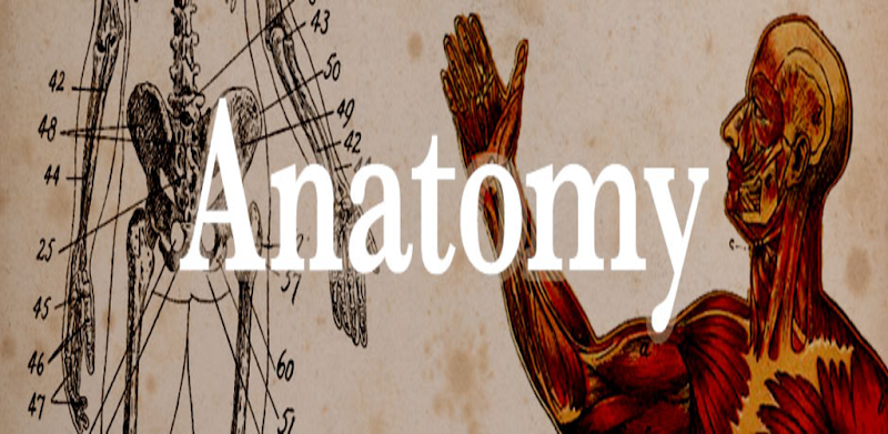 Anatomy Quiz : Physiology Quiz