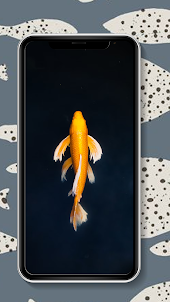 Fish Wallpaper