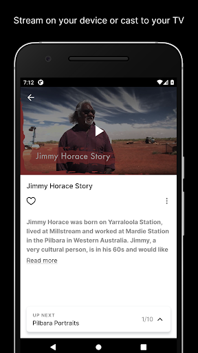 INDIGIFLIX Screen 3