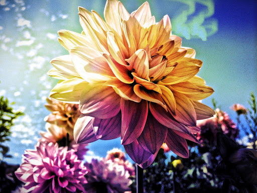 Screenshot of Simply HDR
