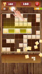 Wood Block Sort Puzzle Game