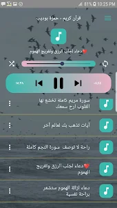 حمزه بوديب قران كريم بدون نت