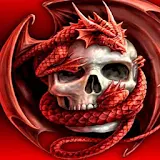 3D dragon and Skull icon