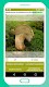 screenshot of Mushroom identification App fo