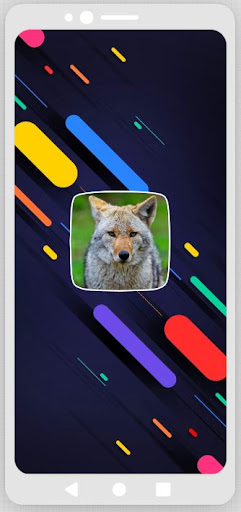 Android application Coyote Sounds screenshort