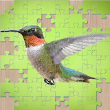 Living Puzzles icon