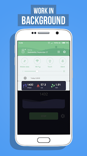Step Counter - Pedometer and Cal