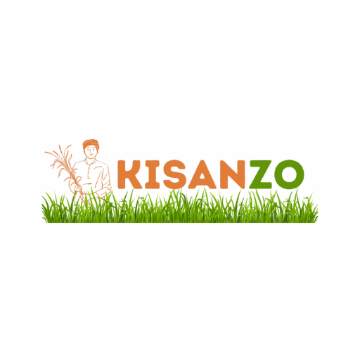 Kisanzo