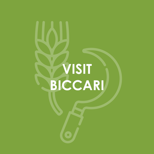 AR Tour - Biccari logo