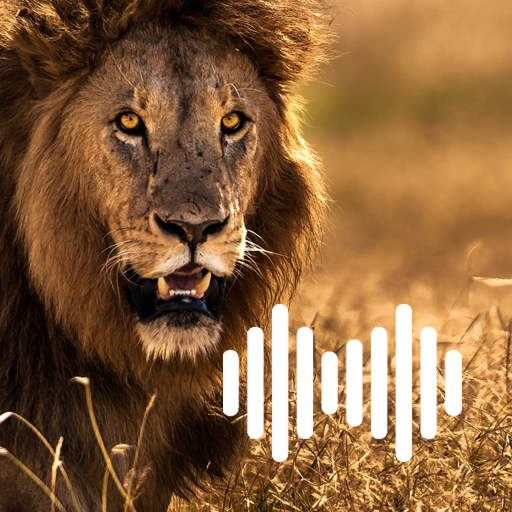 Lion Hunting Calls logo