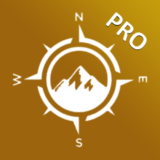 AllPaths Pro v.43 Pro 04/2024 Powered by Tambucho Icon