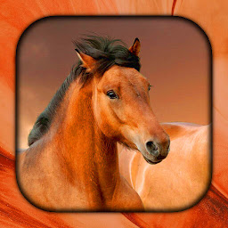 Icon image Horse Live Wallpaper