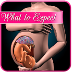 Cover Image of Скачать Pregnancy app : weekly expecta  APK