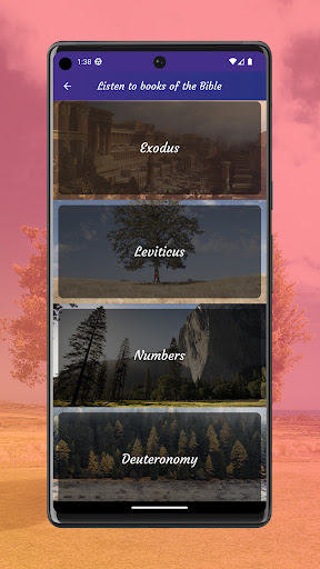 Audio Bible Screen 2