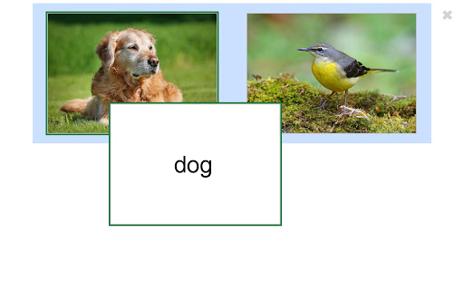 See and Learn Phrases 3