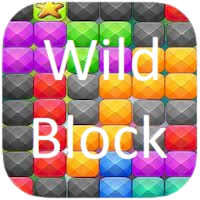 Wild Block  Game Offline