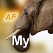 Nature My - Africa - Androidアプリ