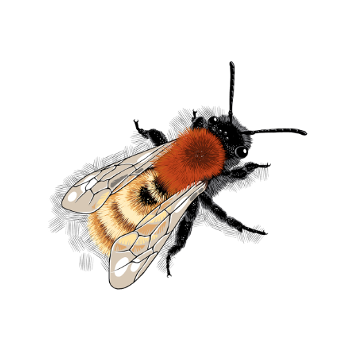 Bee Trail logo