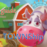 Guide TownShip icon