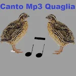 Cover Image of Herunterladen Canto Mp3 Quaglia  APK