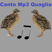 Canto Mp3 Quaglia