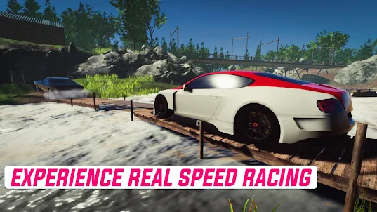 Real Speed Car 3d Racing Game