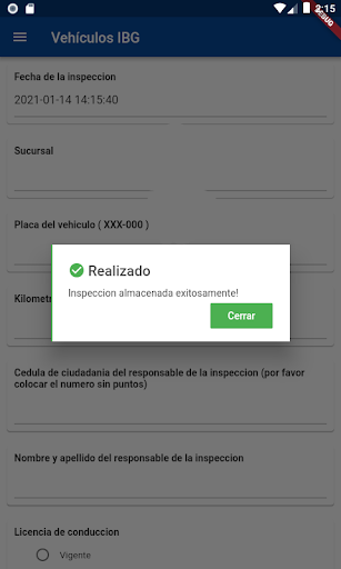 IBG Vehículos Screen 3
