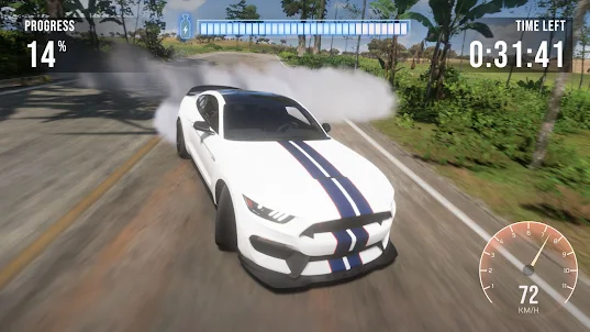 Ford Simulator Mustang Driving