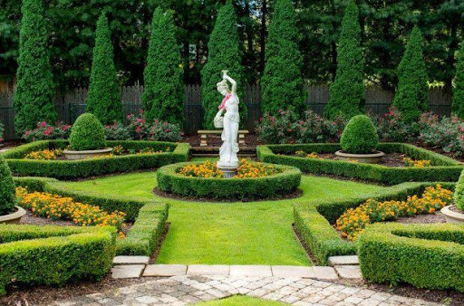 Landscape Design Ideas