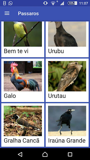 Pássaros Screenshot 4 - AppWisp.com